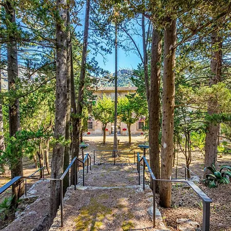 Son Grua - Adults Only *