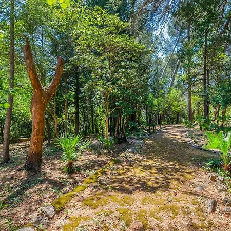 Agroturismo Son Grua - Adults Only