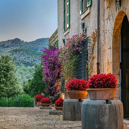 Farm stay Son Grua - Adults Only *