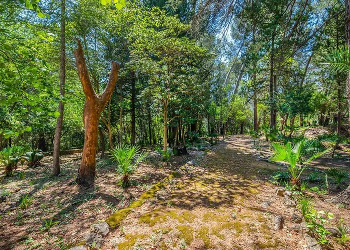 Agroturismo Son Grua - Adults Only