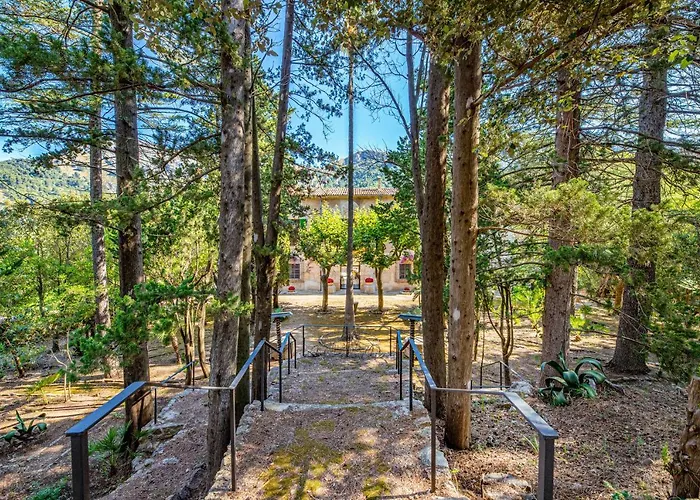 Son Grua - Adults Only *